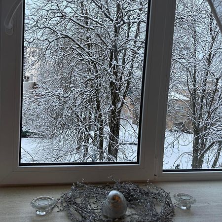 Cozy Studio Apartment In The Center Of Riga Bagian luar foto