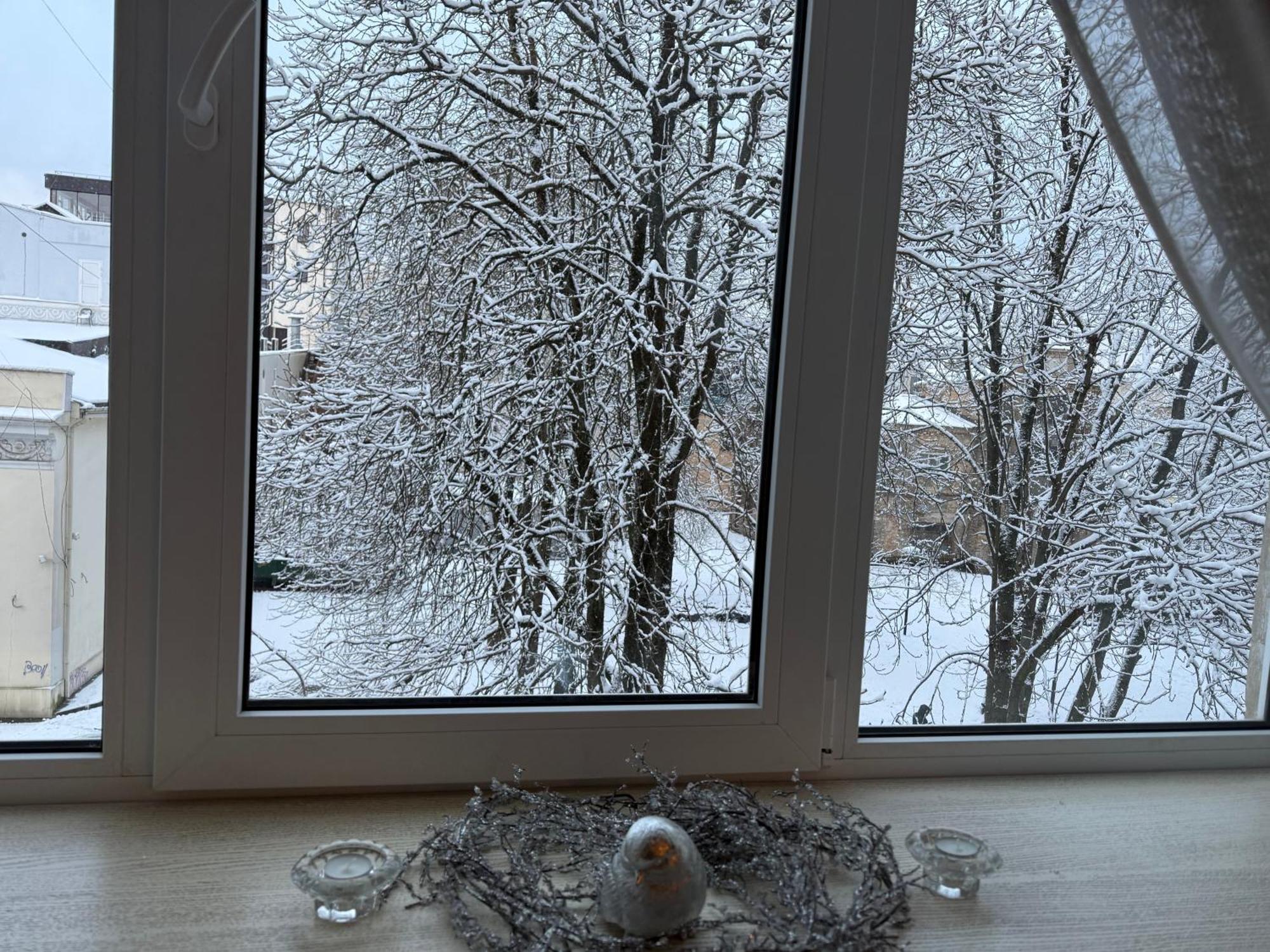 Cozy Studio Apartment In The Center Of Riga Bagian luar foto